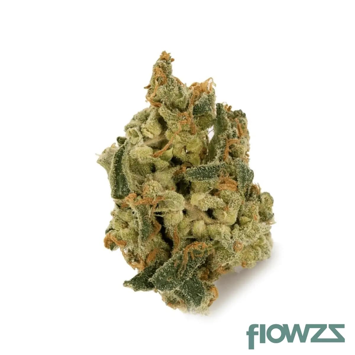 imc-thc22-t05-somango-skunk