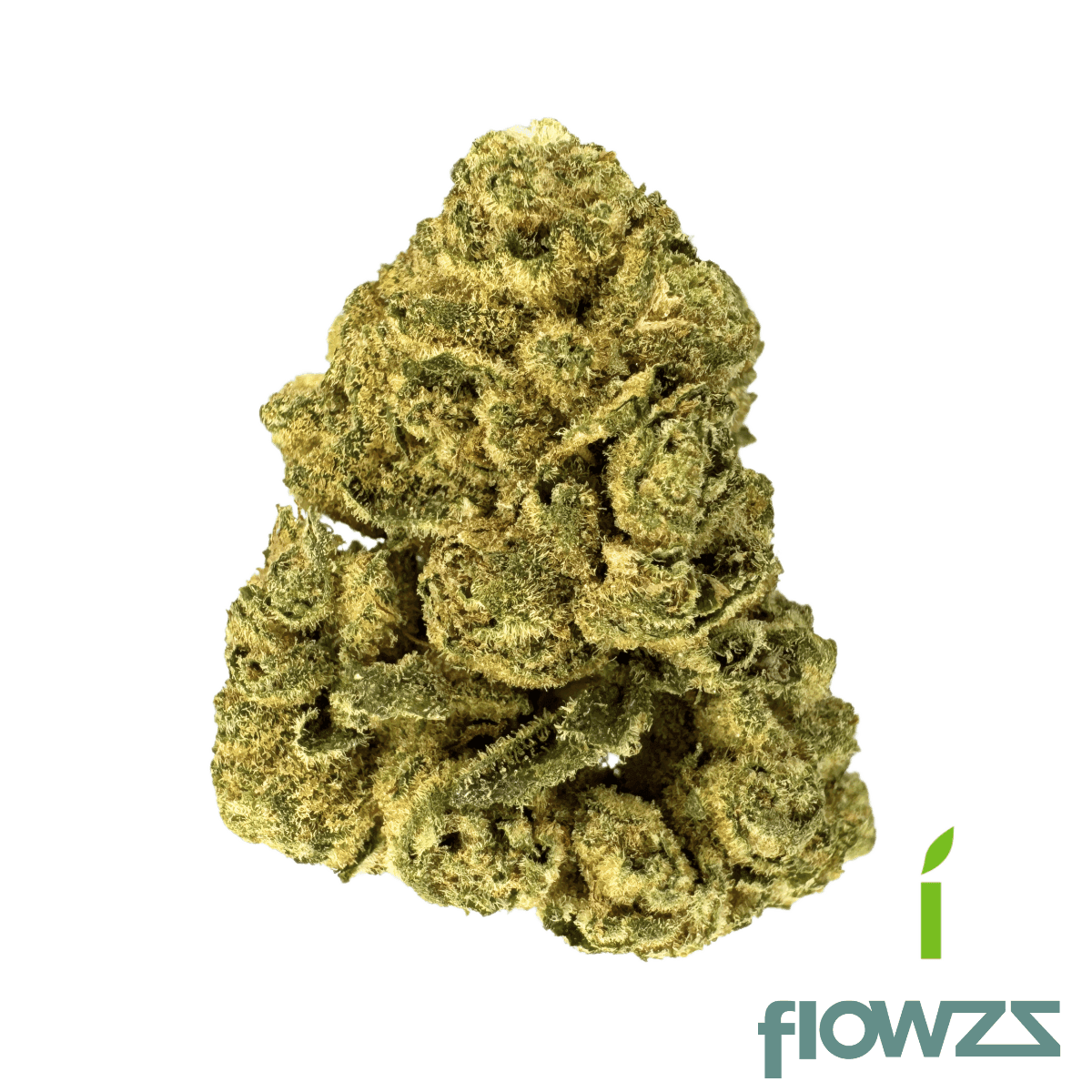 remexian-25-1-bdp-big-purple-dragon