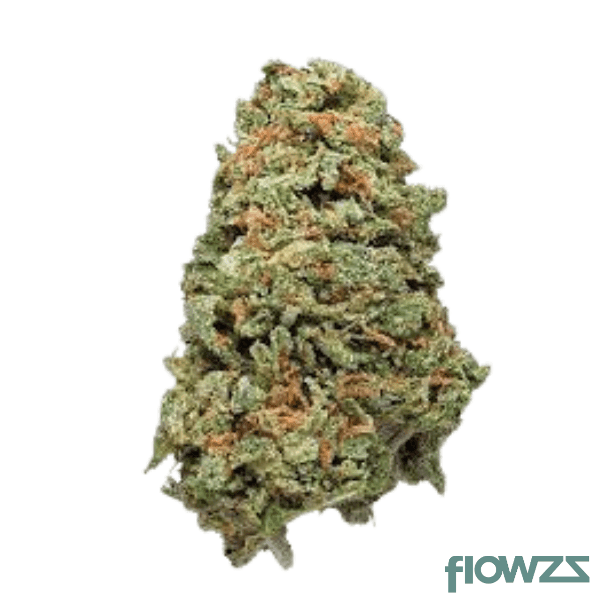 Nedcann CB 18/01 Honolulu Haze #1