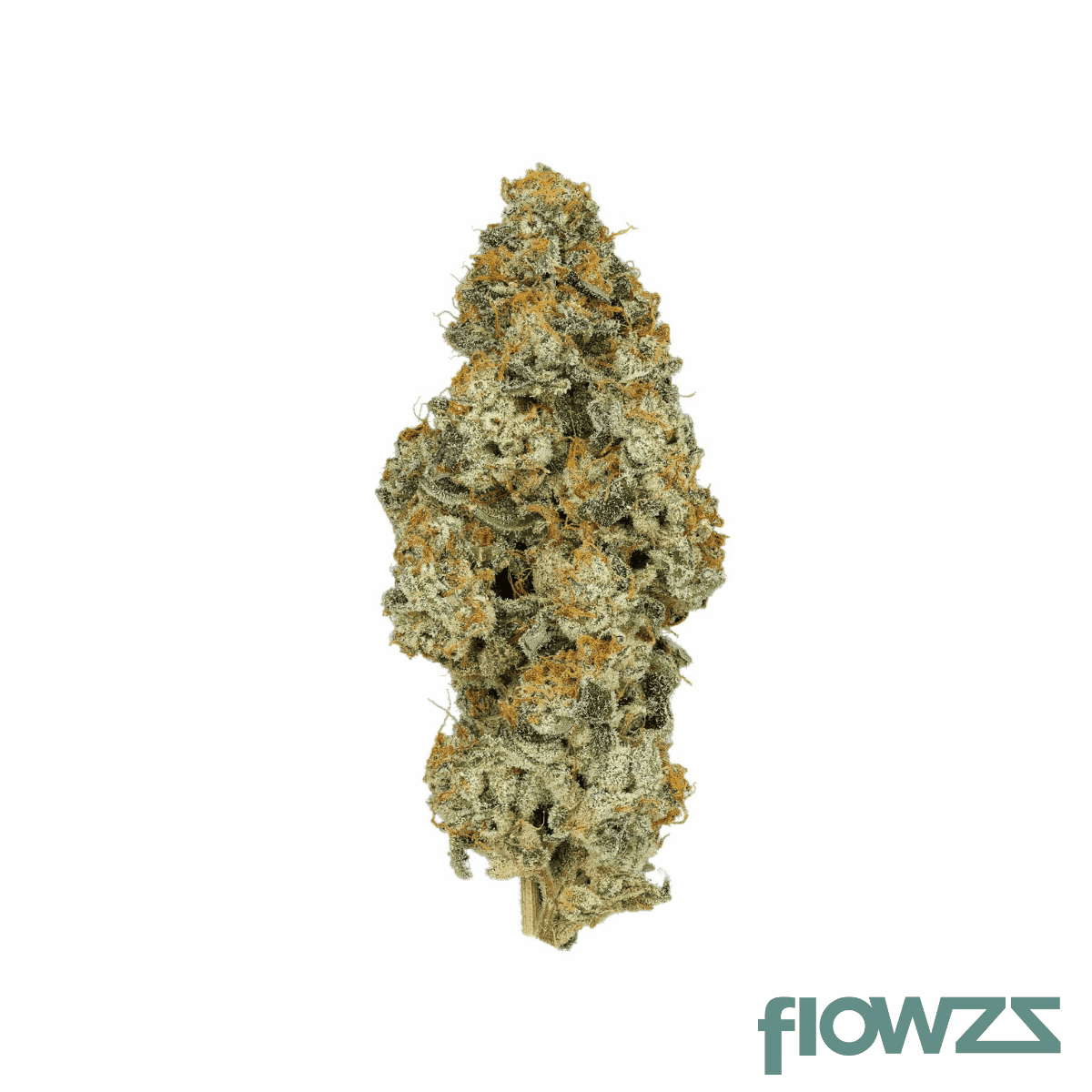 cannfx-cirrus-platinum-hybrid-27-1-po-platinum-oranges