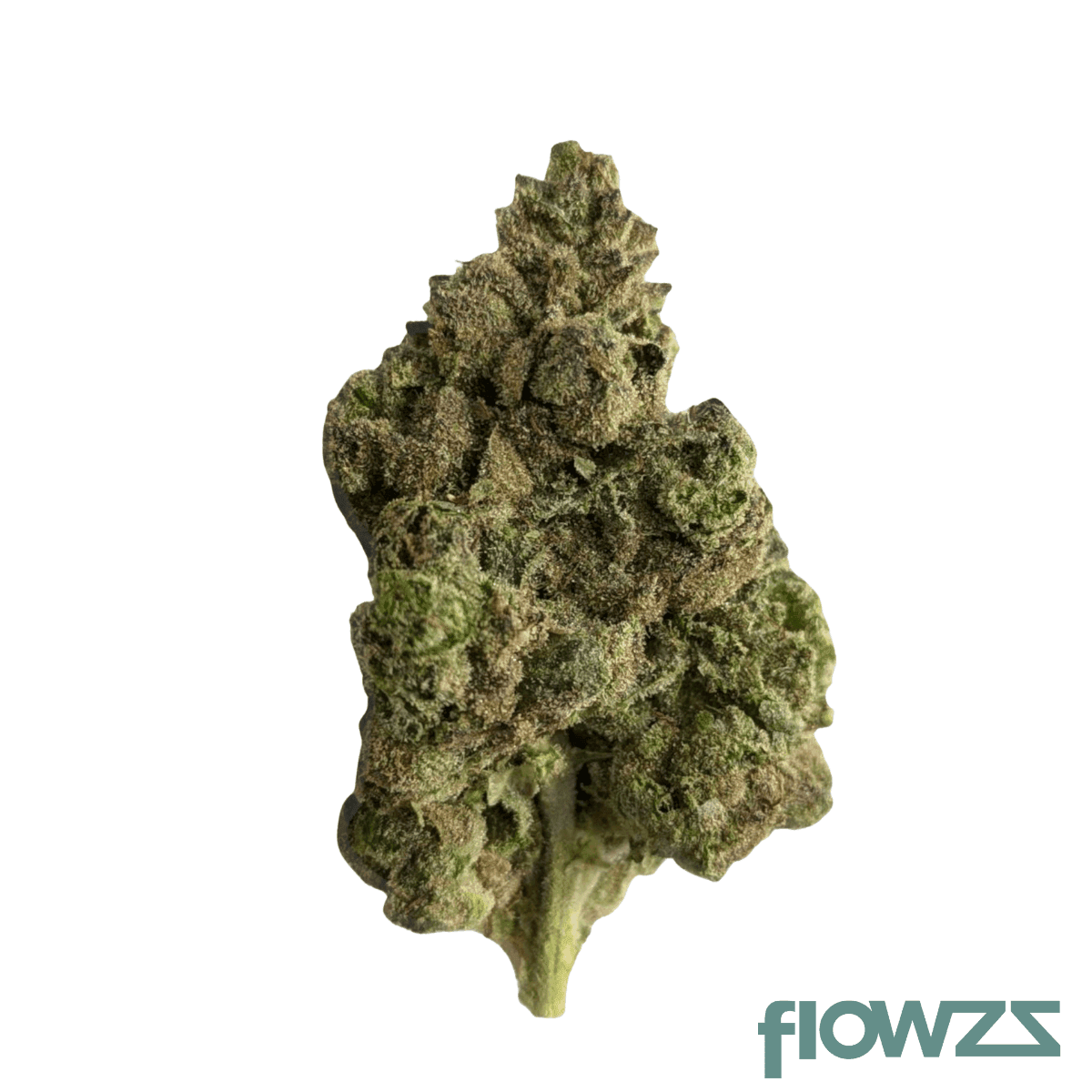 cannamedical-sativa-forte-nm-goofiez