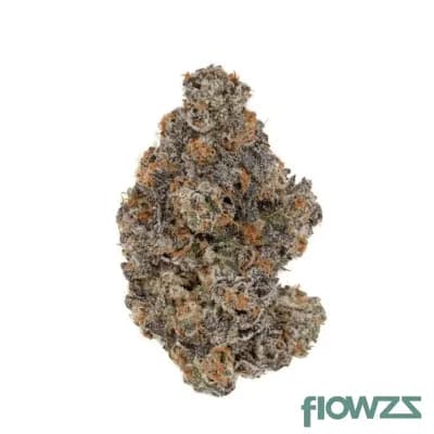 remexian-25-1-gfr-godfather-og-schroll