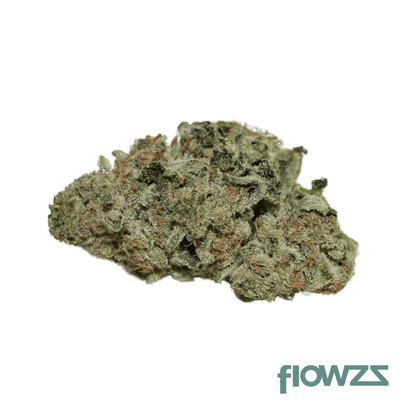 khiron-g-23-1-gelato-42