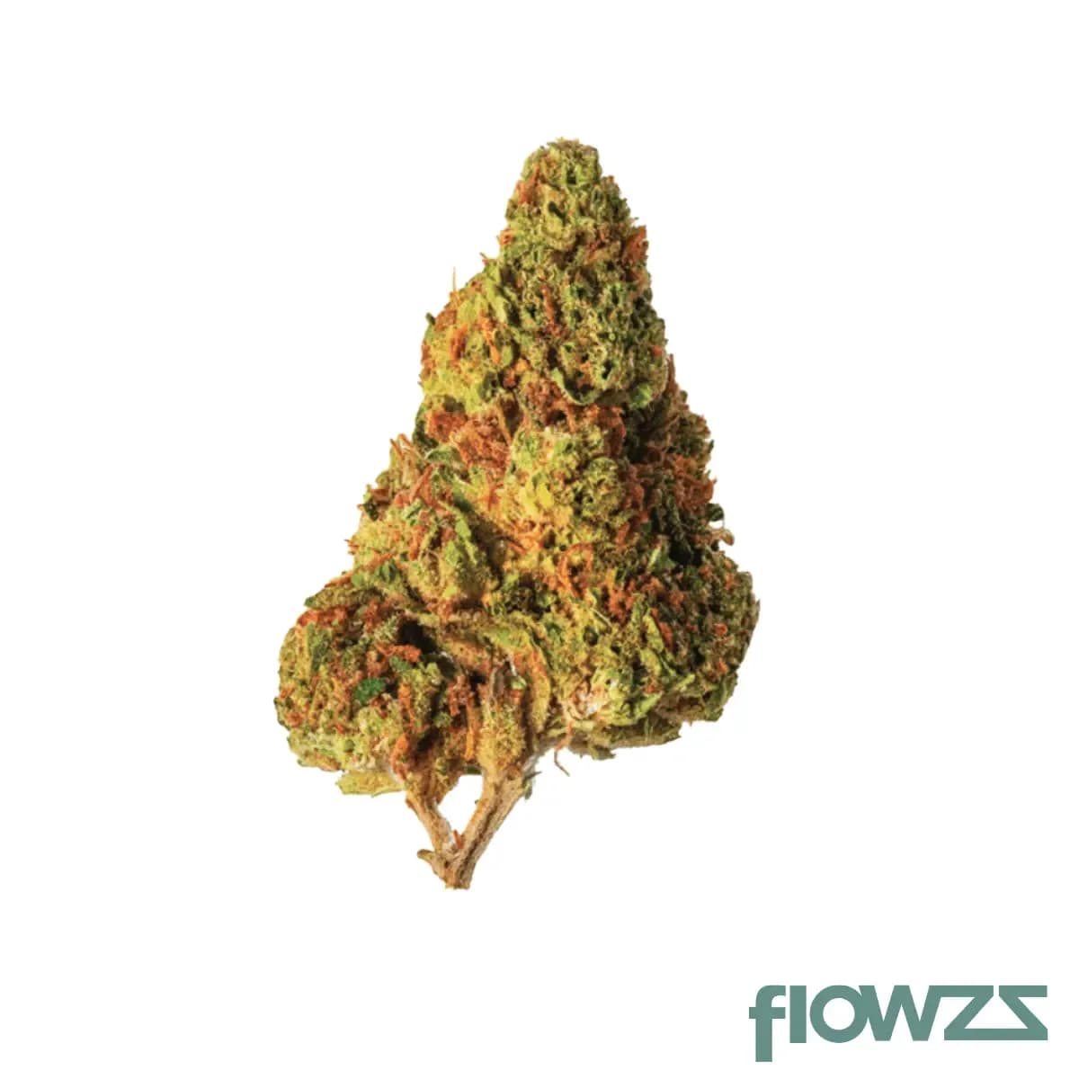 herbasana-salsa-lover-20-01-cosmic-soda