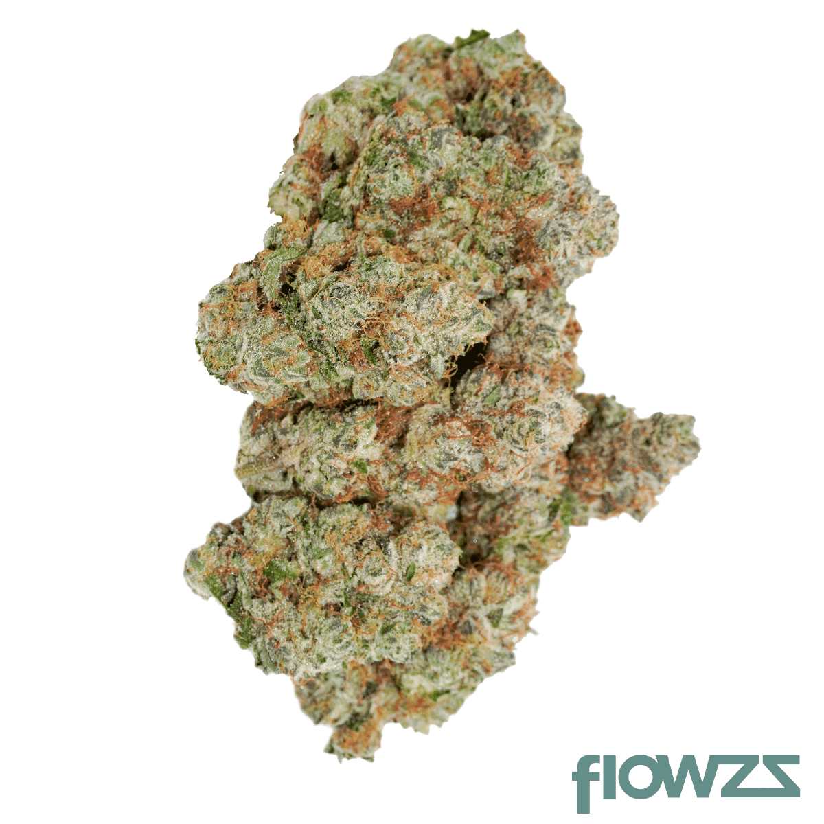 avaay-signature-31-1-ogc-ocean-grown-cookies_gal2