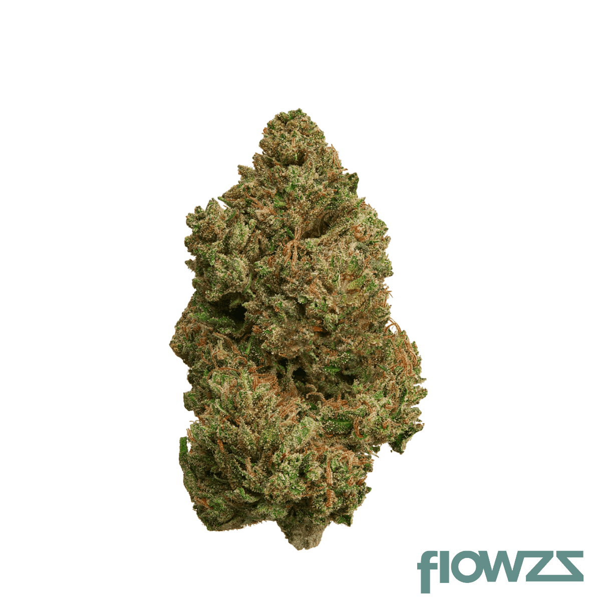 canify-22-1-oz-kush