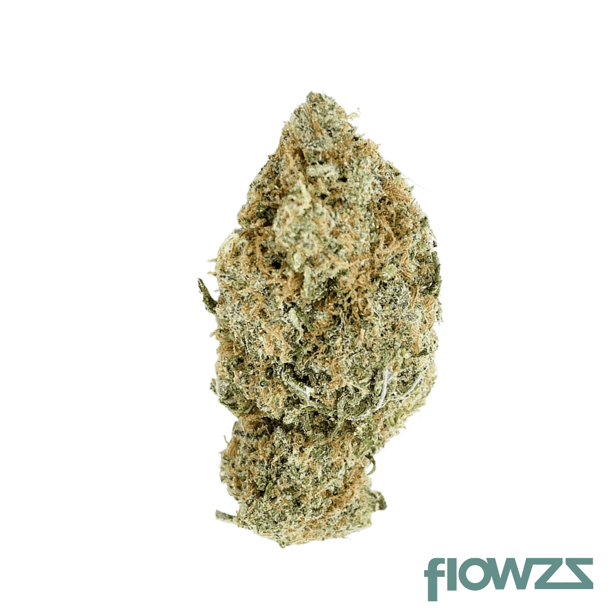 lot-420-mlnd-pt