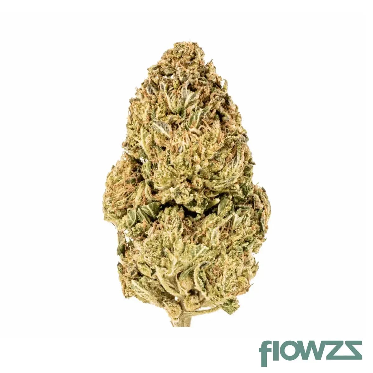 demecan-core-echo-2301-cereal-milk