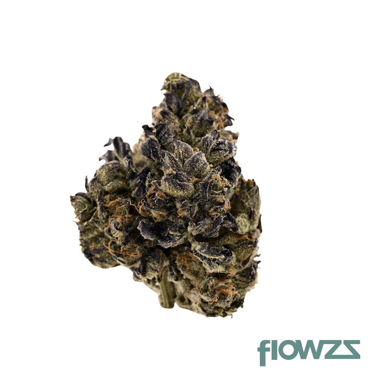 demecan-core-icc-22-01-ice-cream-cake