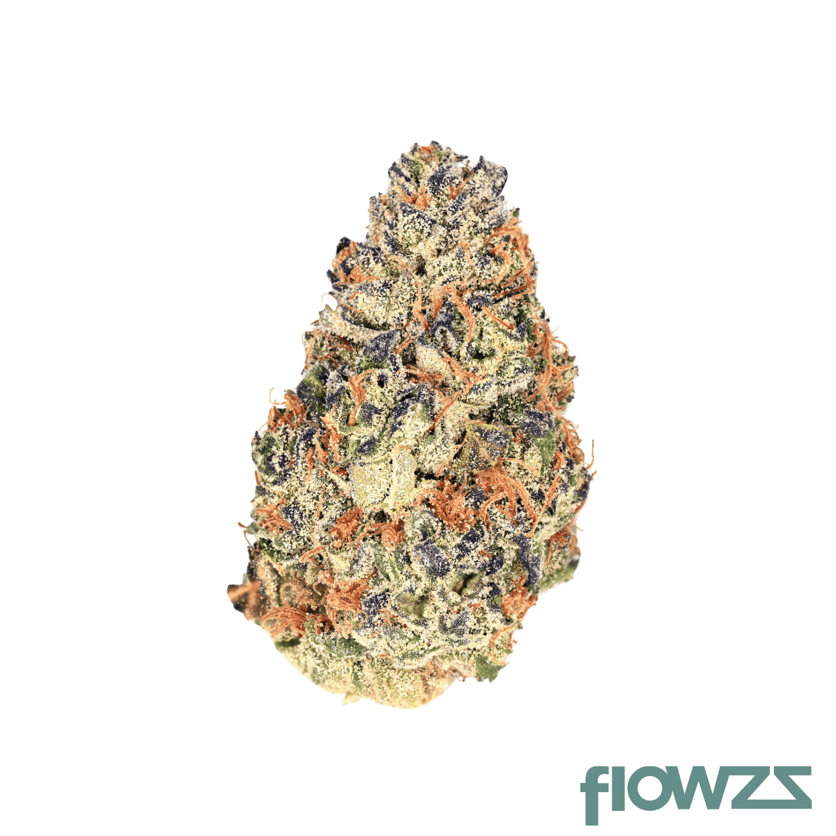 demecan-craft-rocket-31-01-pave-gastro-pop