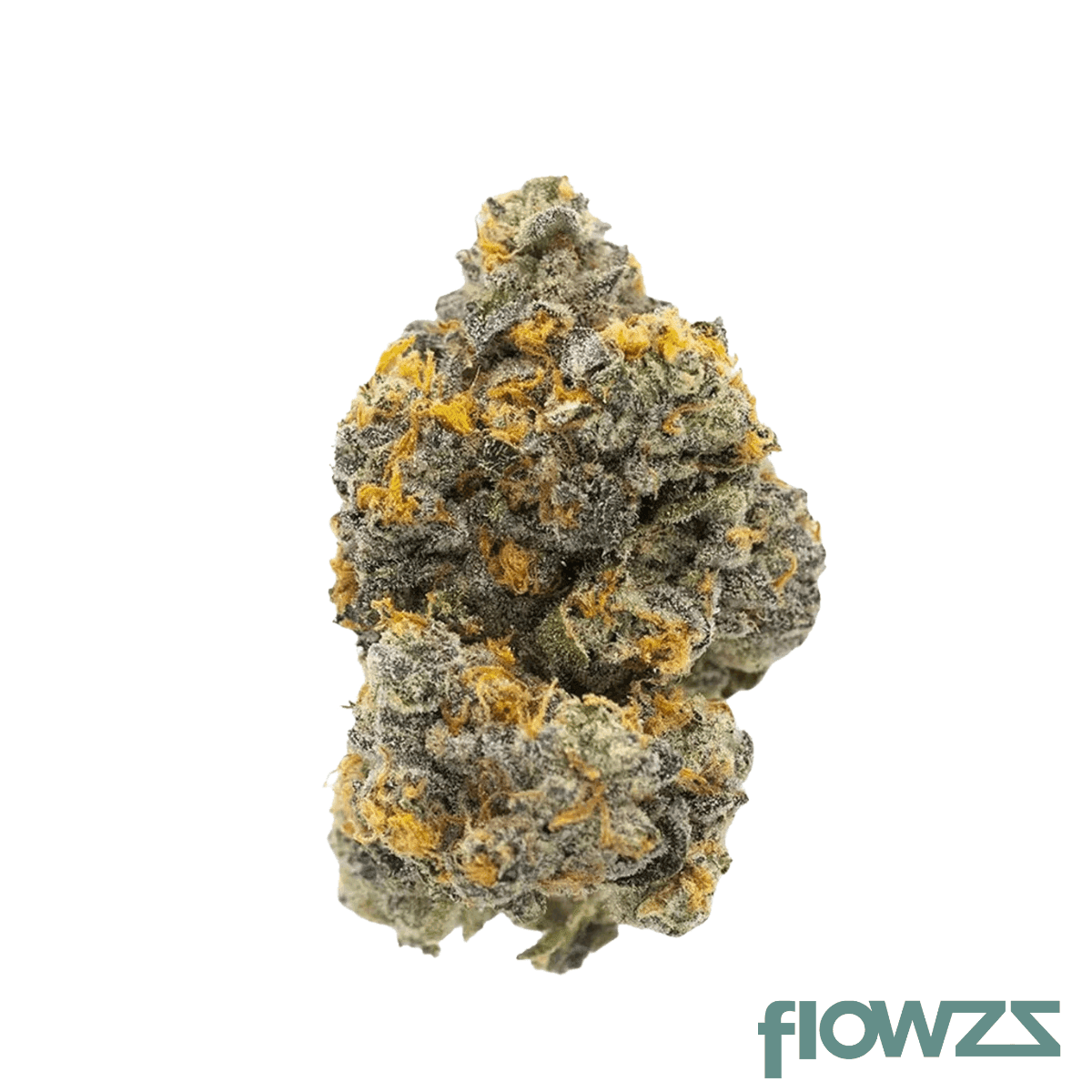 drapalin-31-1-da-fux-gary-payton-x-gushers