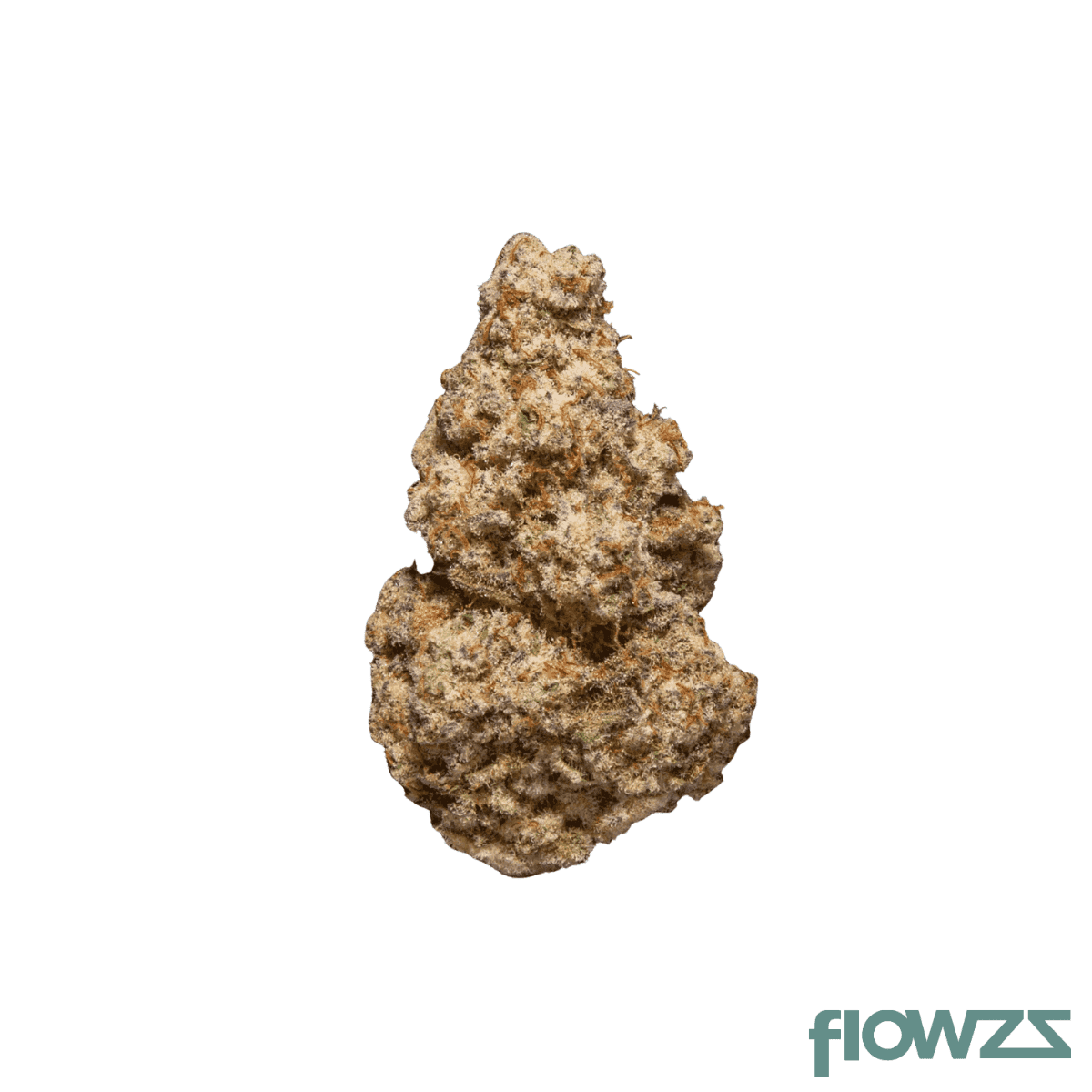 enua-27-1-ps3-ca-myc-minty-cookies