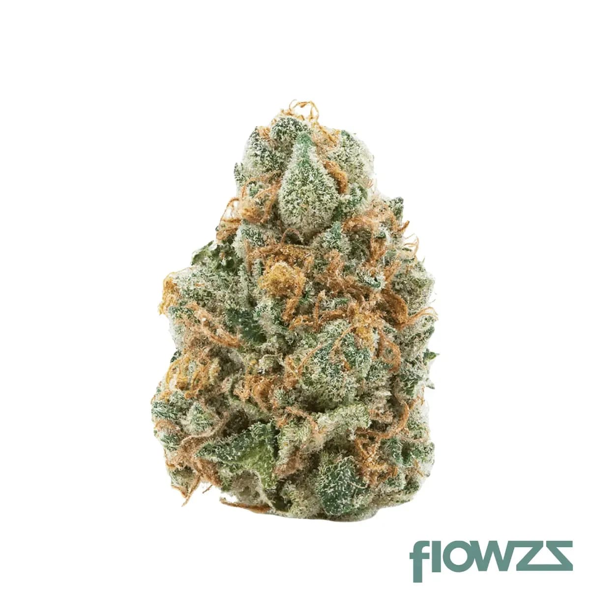 enua-36-1-jgf-jungle-fumes