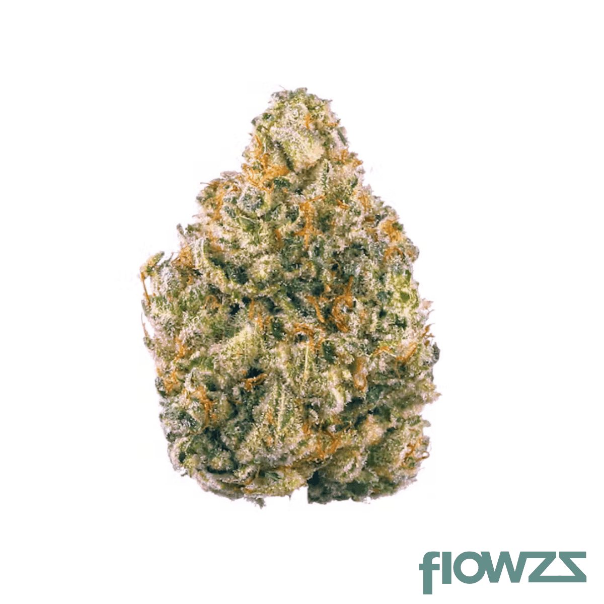 ocean-breeze-sb-30-1-fire-cookies