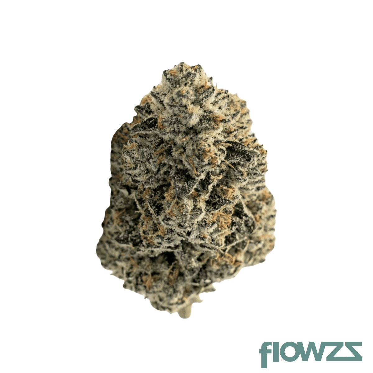 briah-cannabis-27-1-gorilla-glue-forte