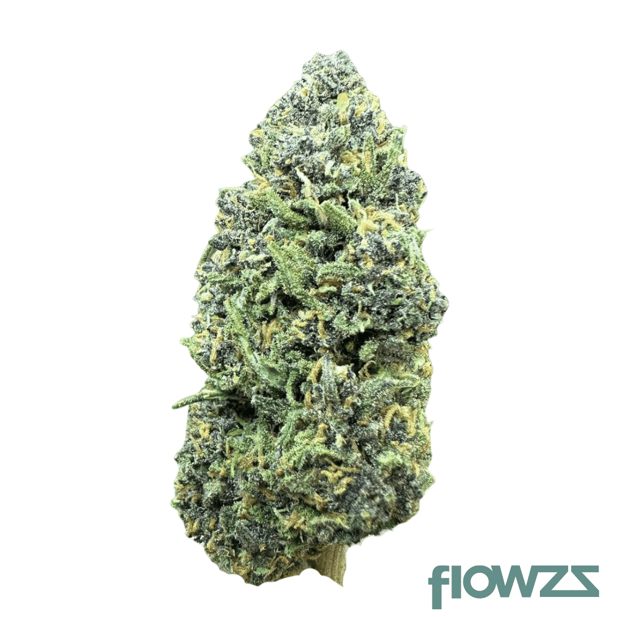 cannamedical-balanced-ultra-12-13-libras