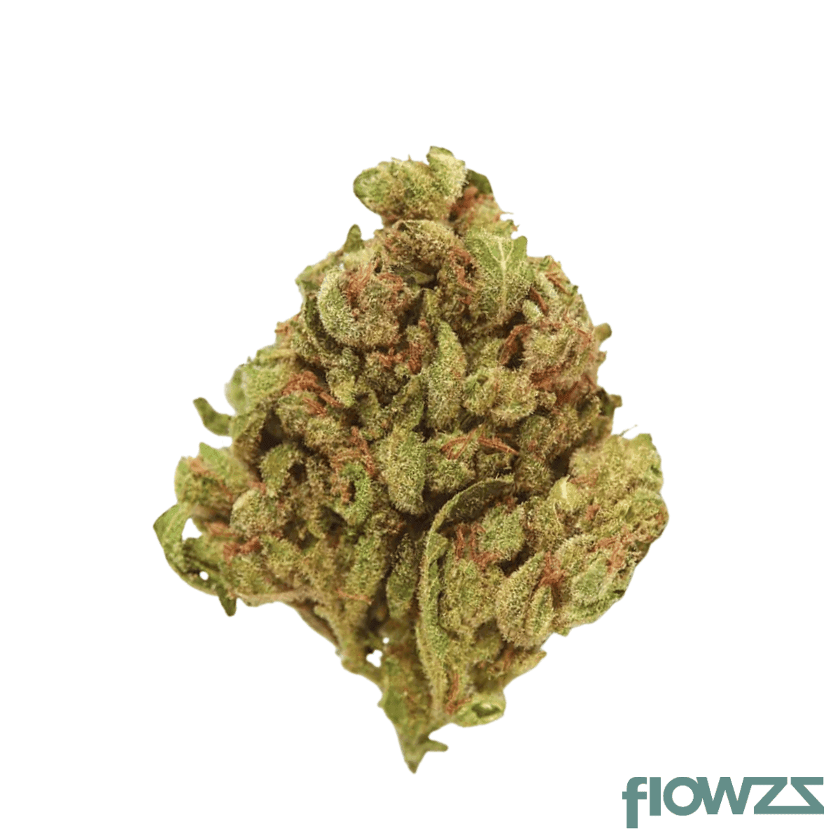 balancial-27-1-brissy-berry