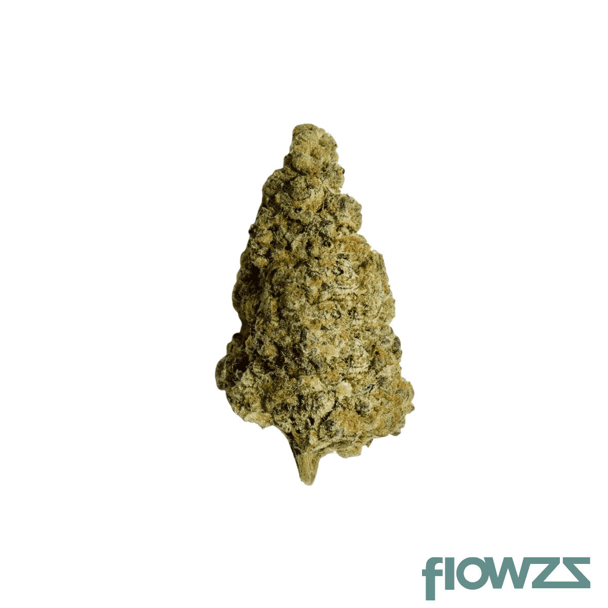 zoiks-31-1-bb-ben-berries