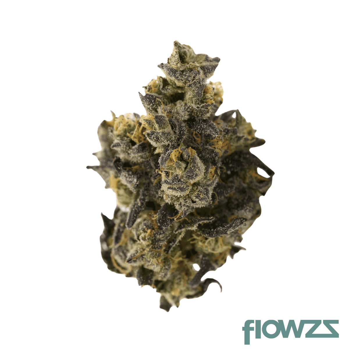 eufloria-30-1-itg-integrator