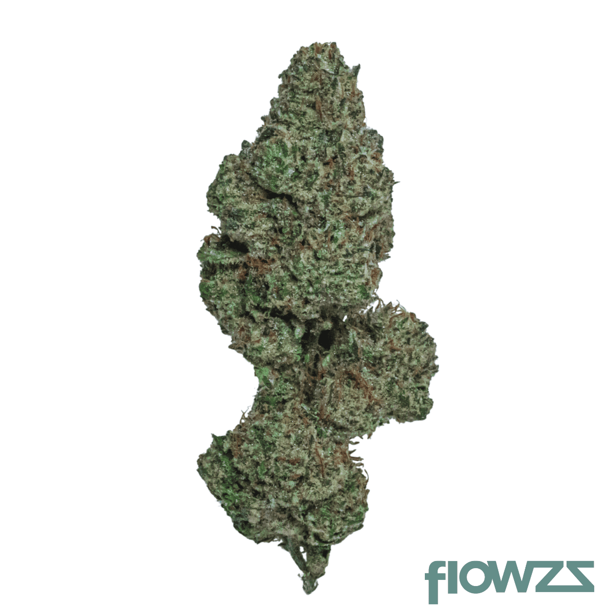 herbasana-salsa-lover-24-01-cosmic-soda