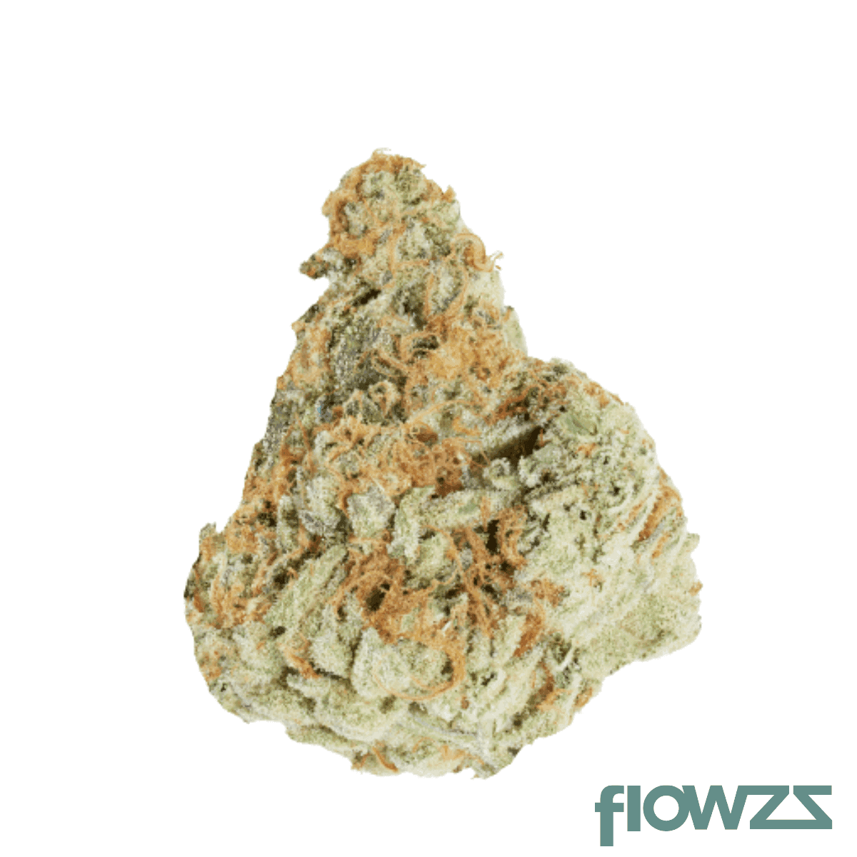 nice-26-1-mos-morning-sun