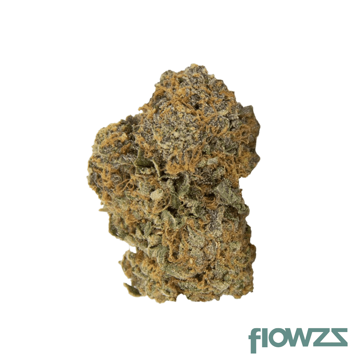 nice-26-1-pj-platinum-jack