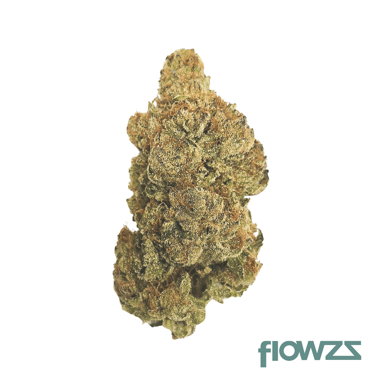 drapalin-27-1-full-gas