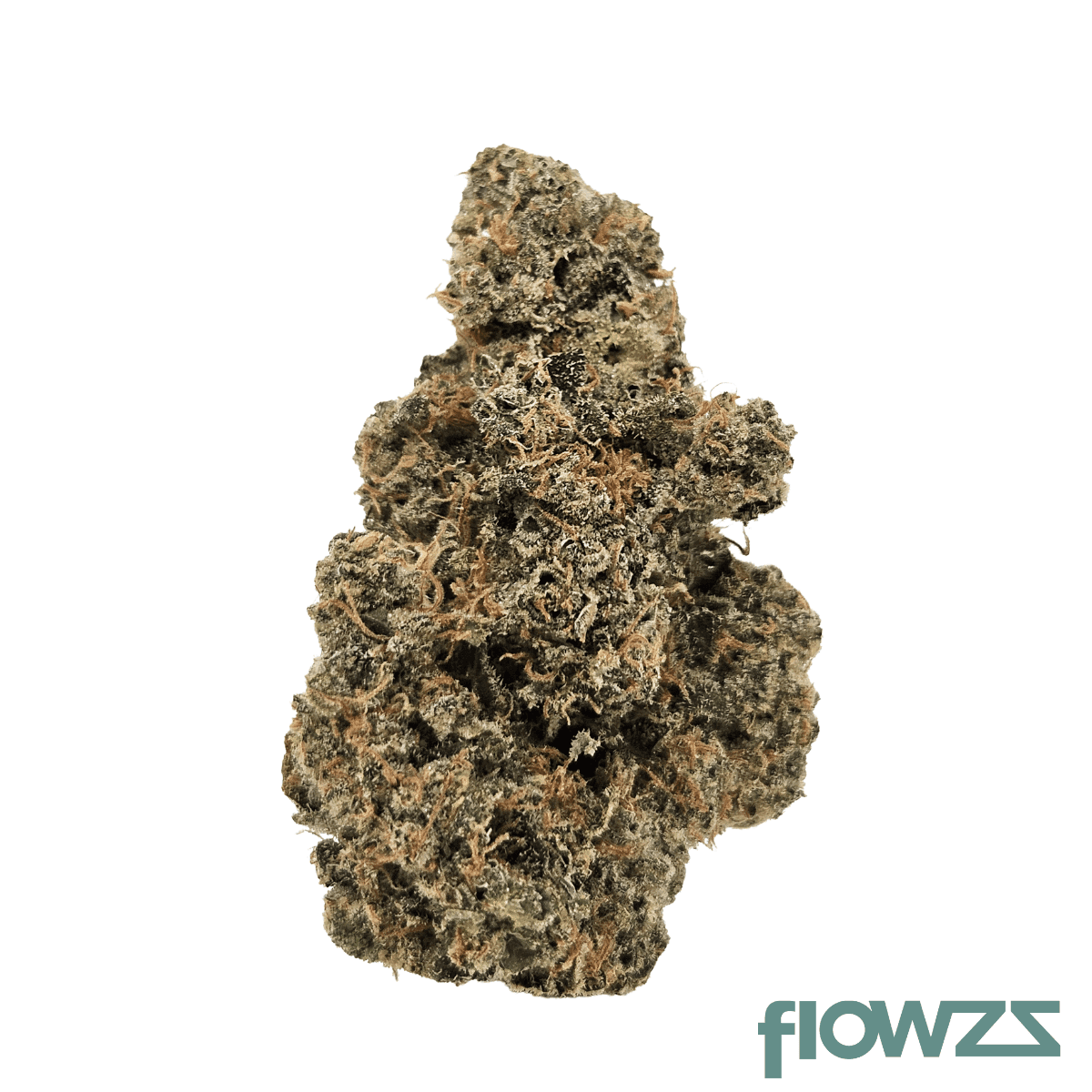 drapalin-29-1-cape-canaveral-cape-cookies