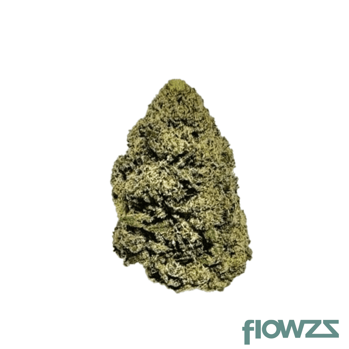 zoiks-22-1-moc-mochellow