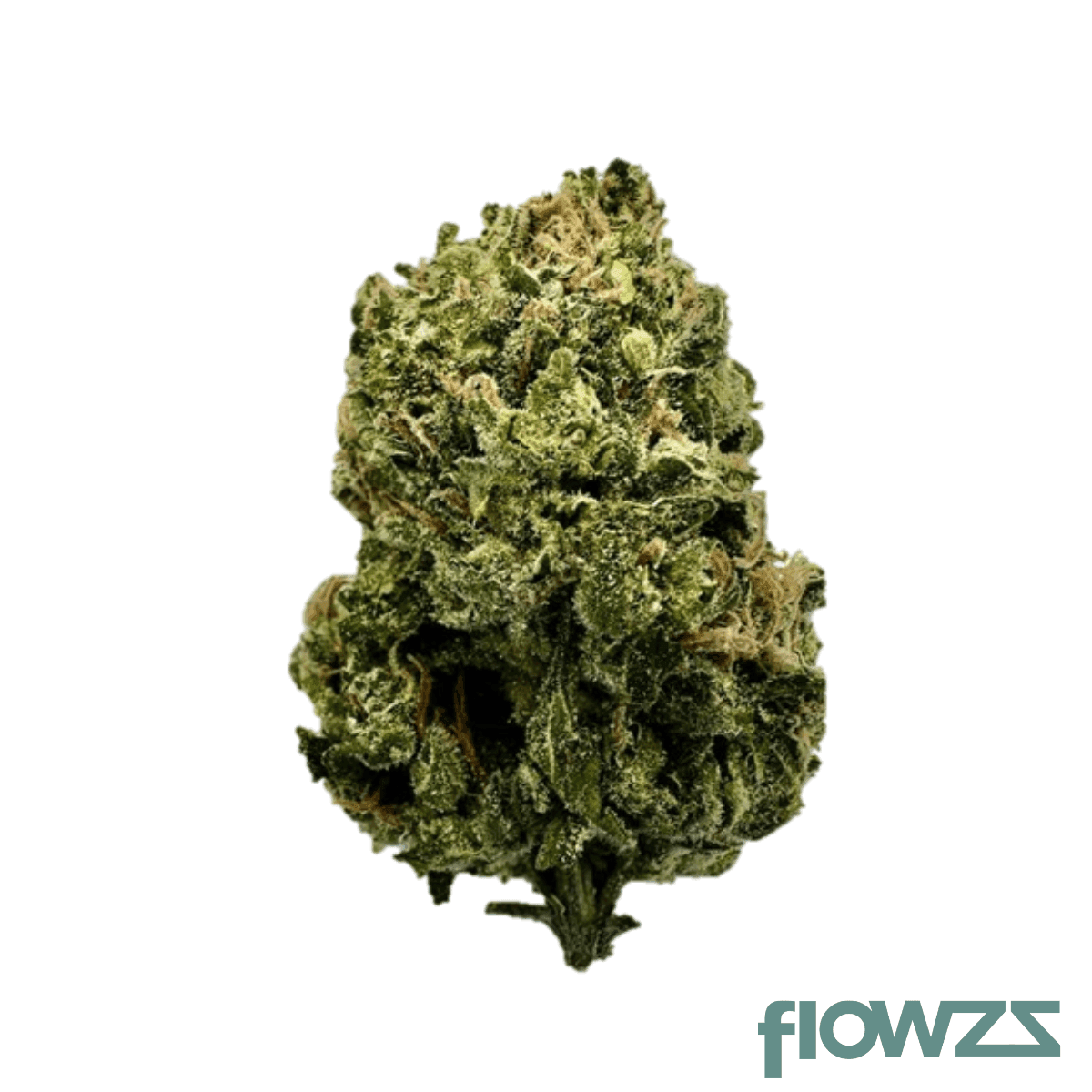 zoiks-22-1-sf-sourflare