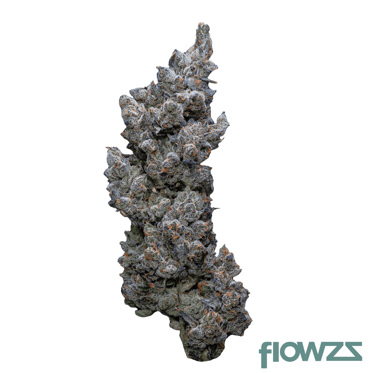 30-1-iuvo-sq-apples-bananas