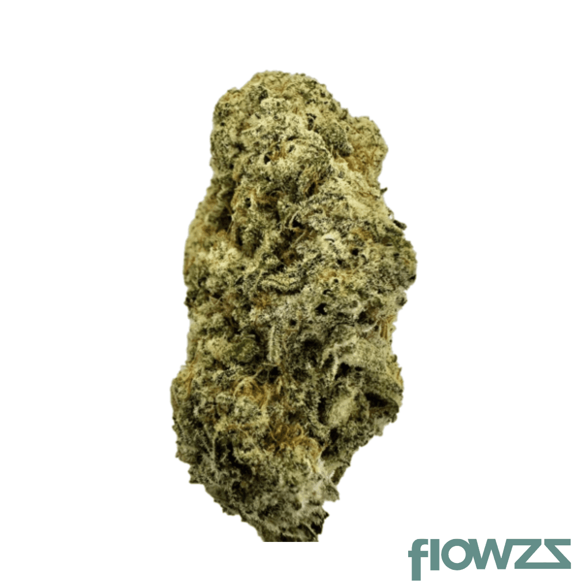 avaay-26-1-mco-macs-cookies