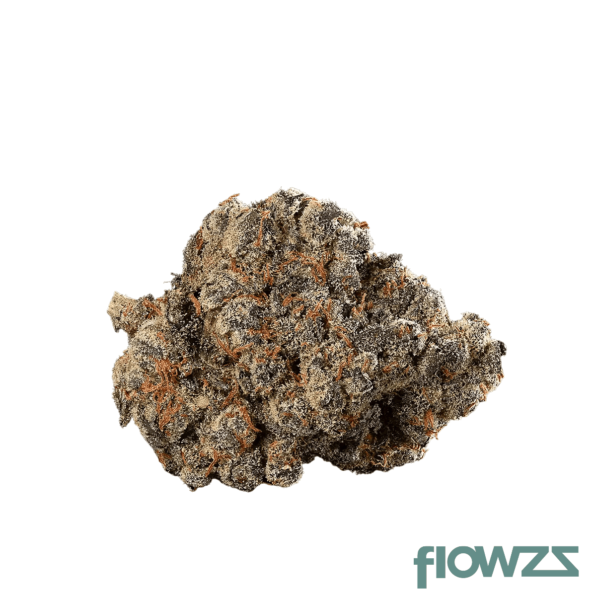 tyson-24-1-alexander-the-great