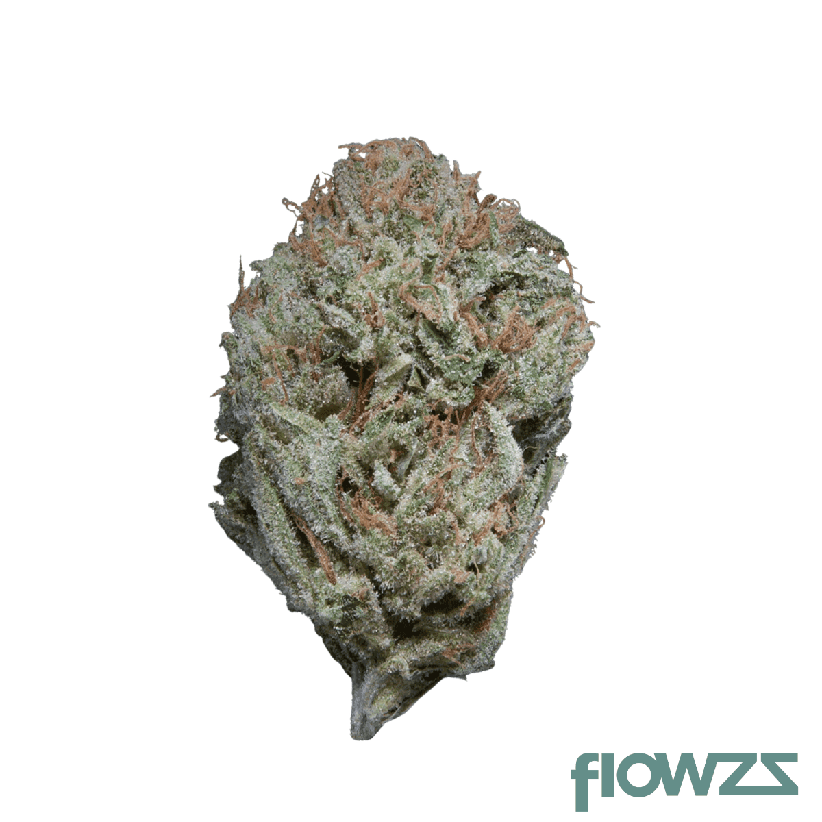 avaay-22-1-sb-sunset-berries