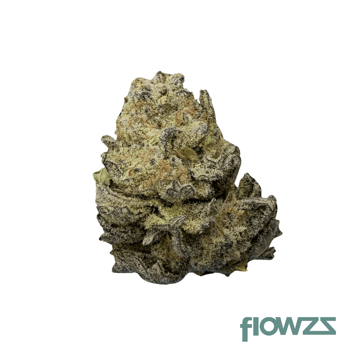 zoiks-22-1-pd-platin-driver