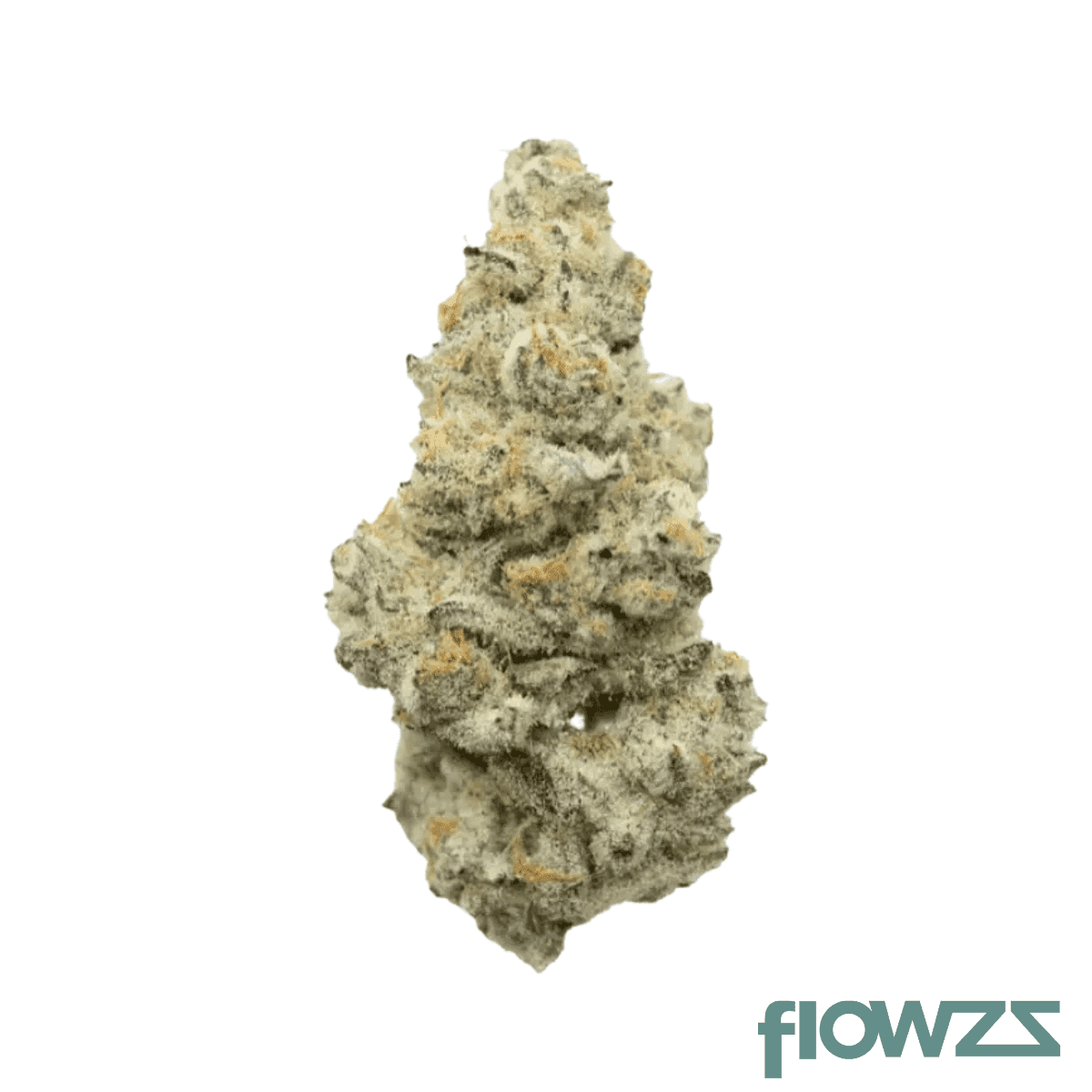 legacy-33-1-nxn-cju-cap-junky