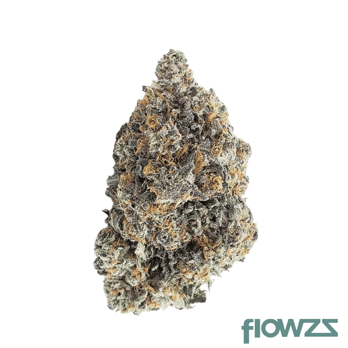 enua-27-1-aab-ca-blue-gelatti