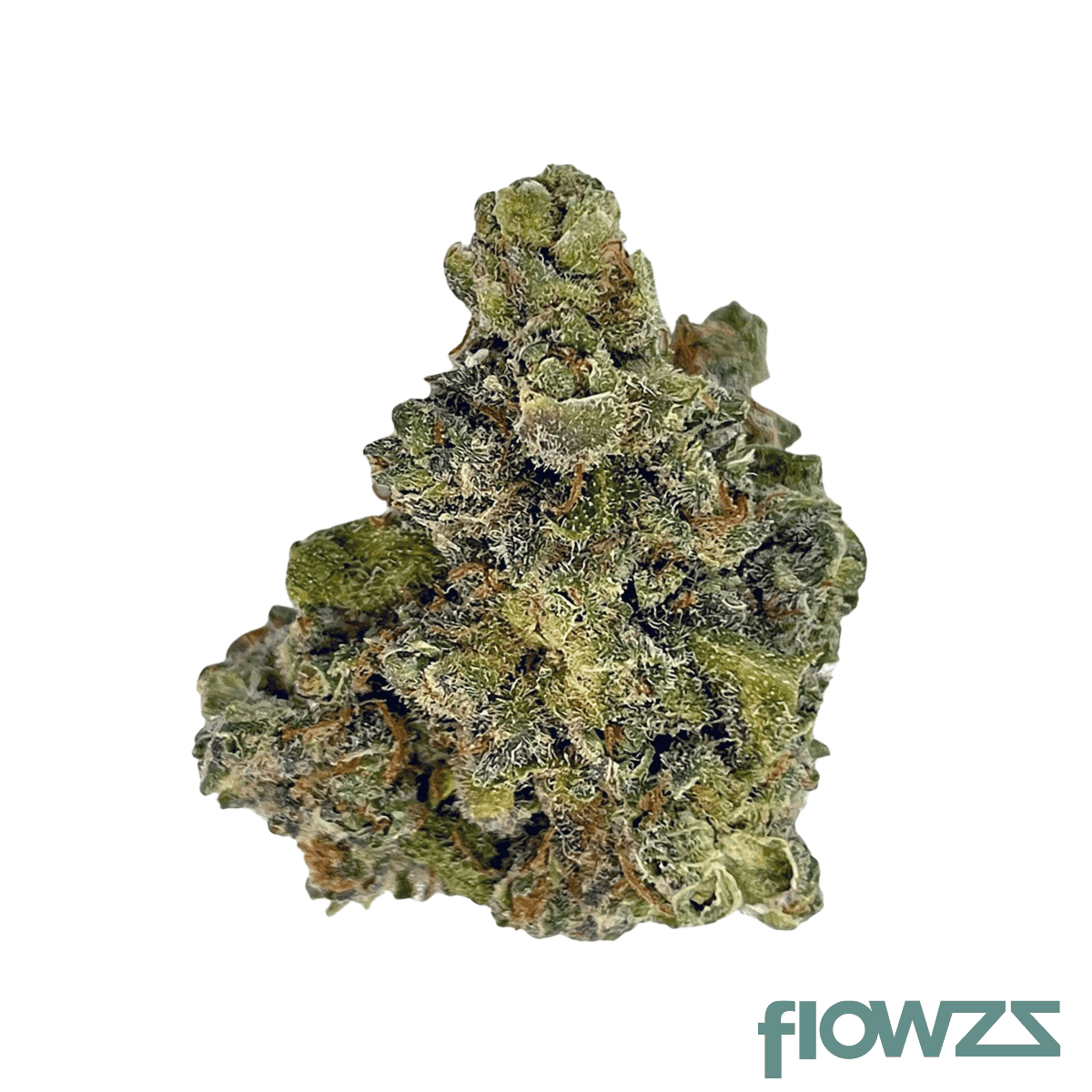 thc-akut-tm-24-trinity