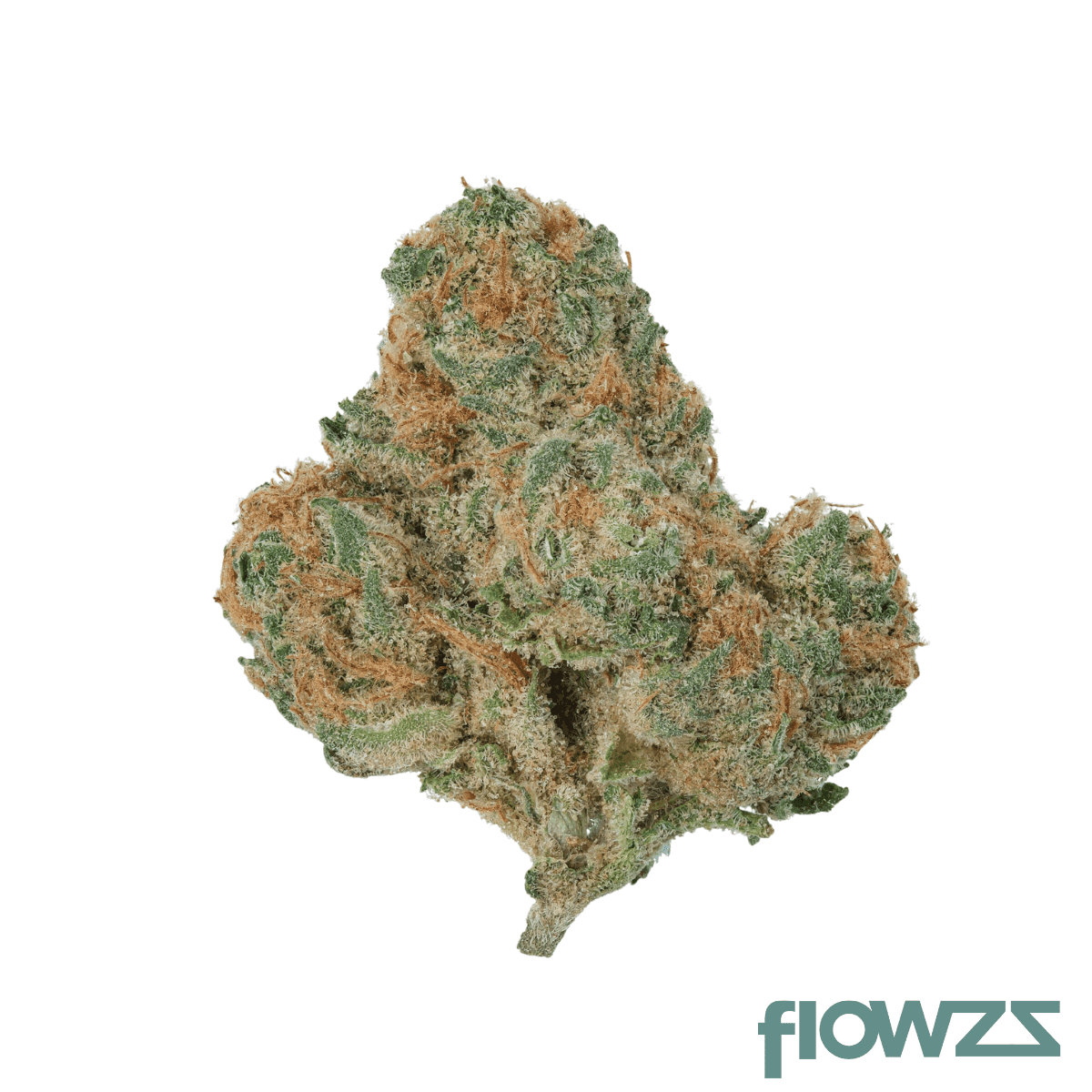 endo-canna-msh-26-1-mimosa-shot