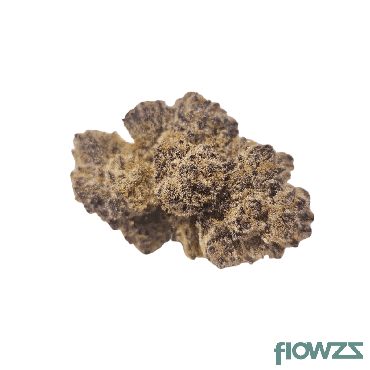 growmotion-tj-27-tricho-jordan