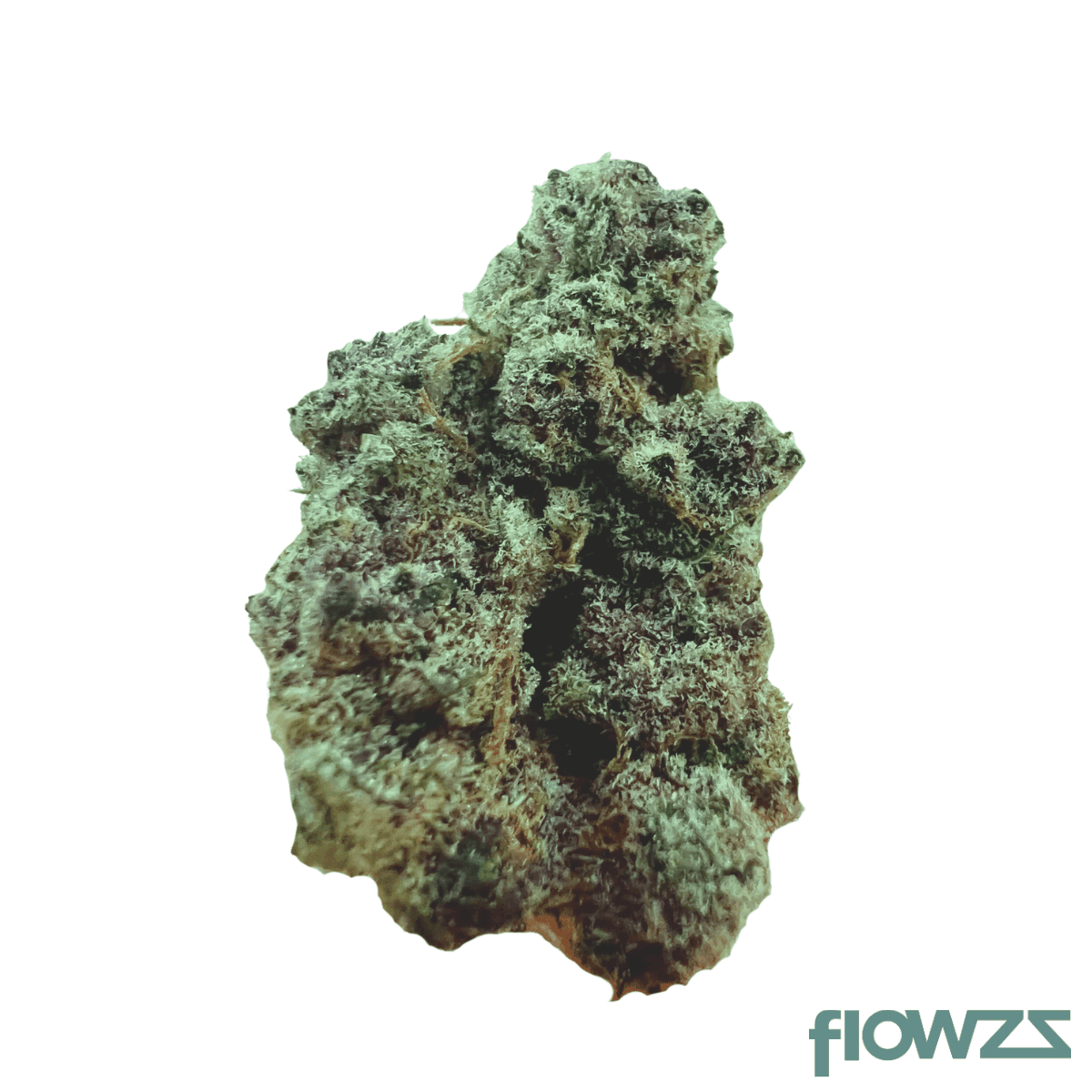 growmotion-tj-22-super-buff-cherry