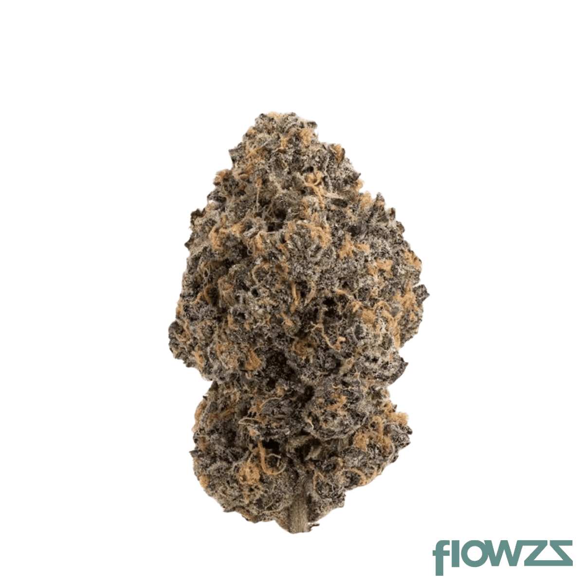 mediprocan-afican-ruby-24-1-royal.runtz