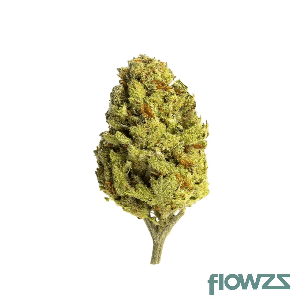 mgf-jurassic-deep-breath-22-1