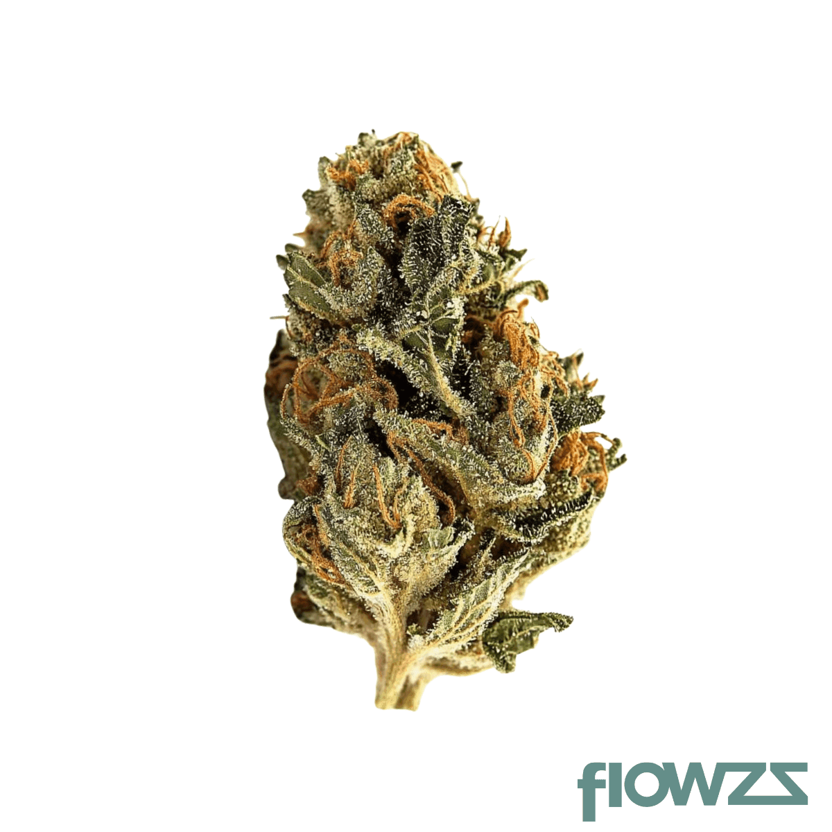 mgf-crossflow-22-1-thc-rich-crossbow-flower