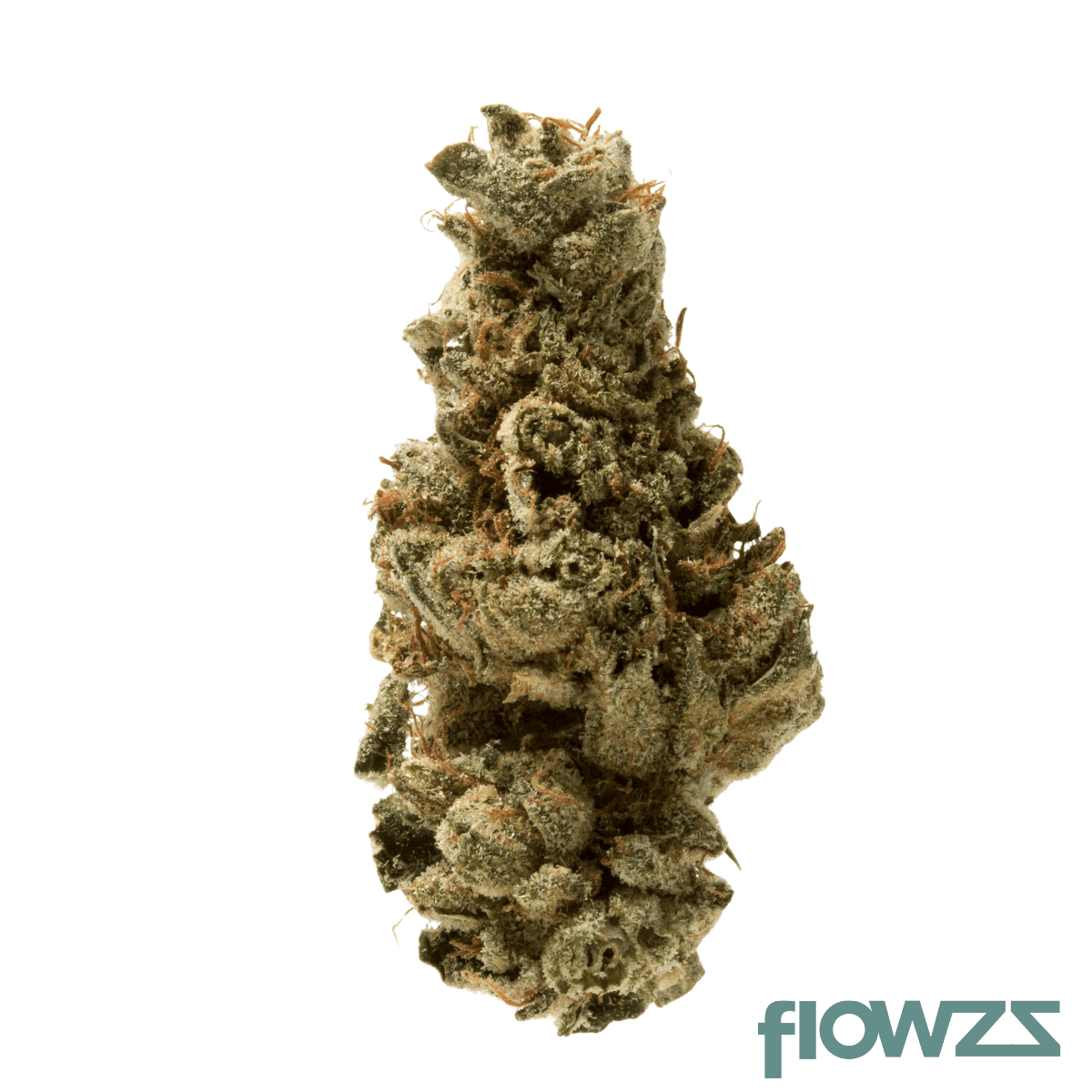 mgf-pop-up-no-16-25-1-thc-rich-jet-fuel-gelato-x-legend-orange-apricot