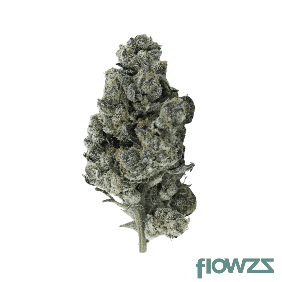 huala-22-1-ca-cbg-grape-burger