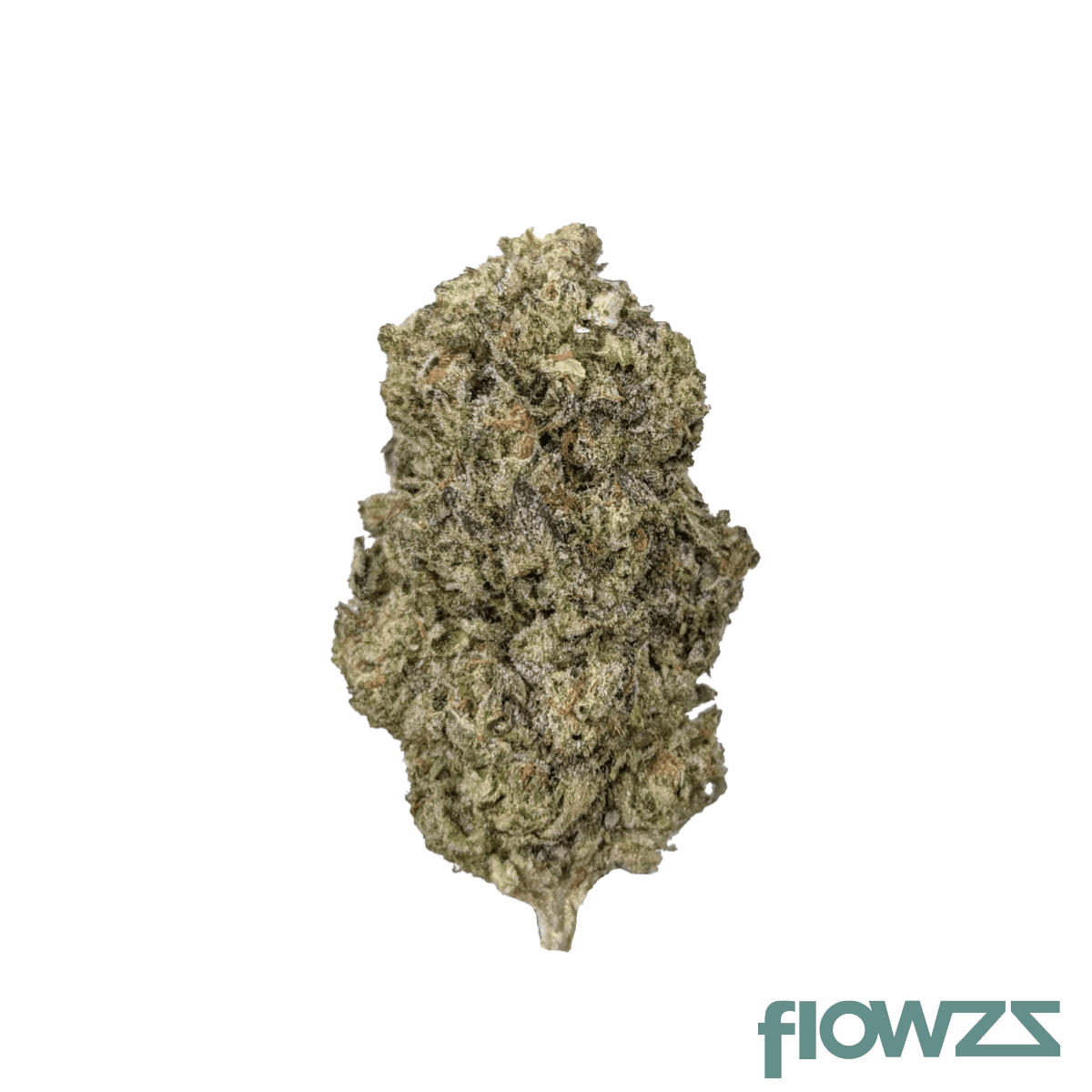 huala-18-1-ca-hom-holy-mints