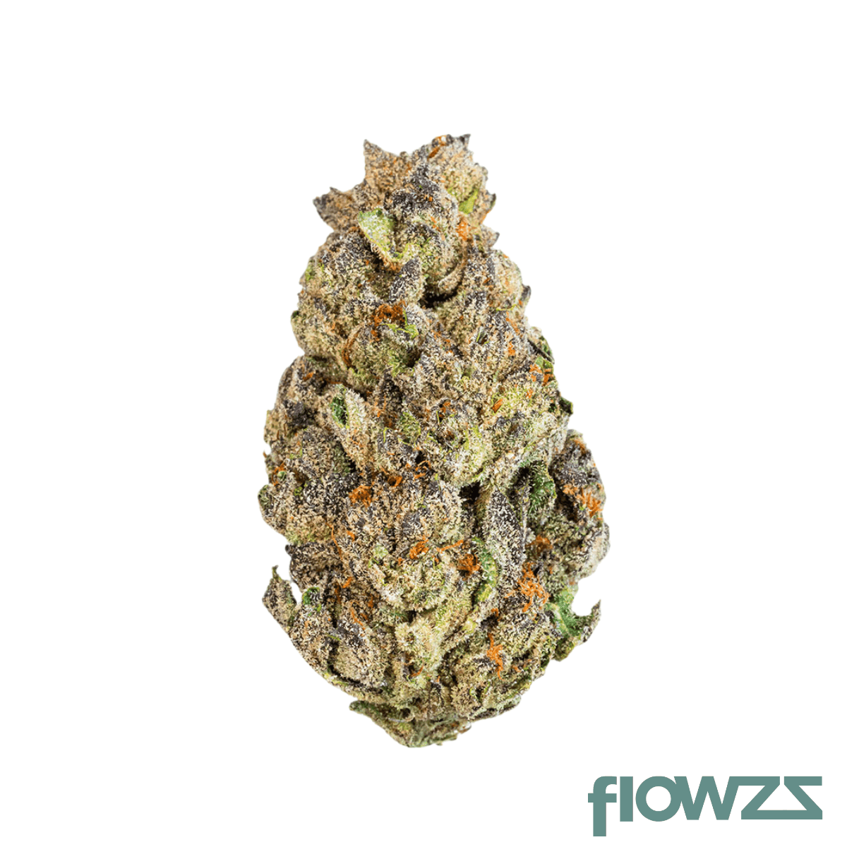 nedcann-noc-26-01-nori-cake