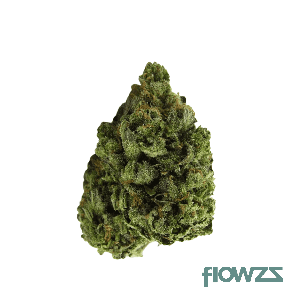 nedcann-sc-20-01-green-house-cheese