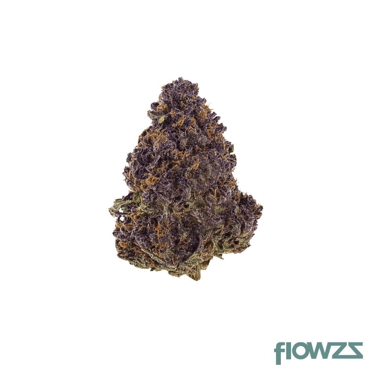 medical-saints-21-1-hub-huckleberry